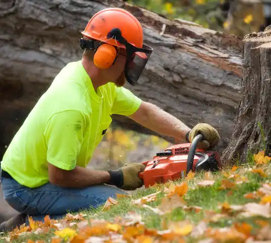 tree services Polo